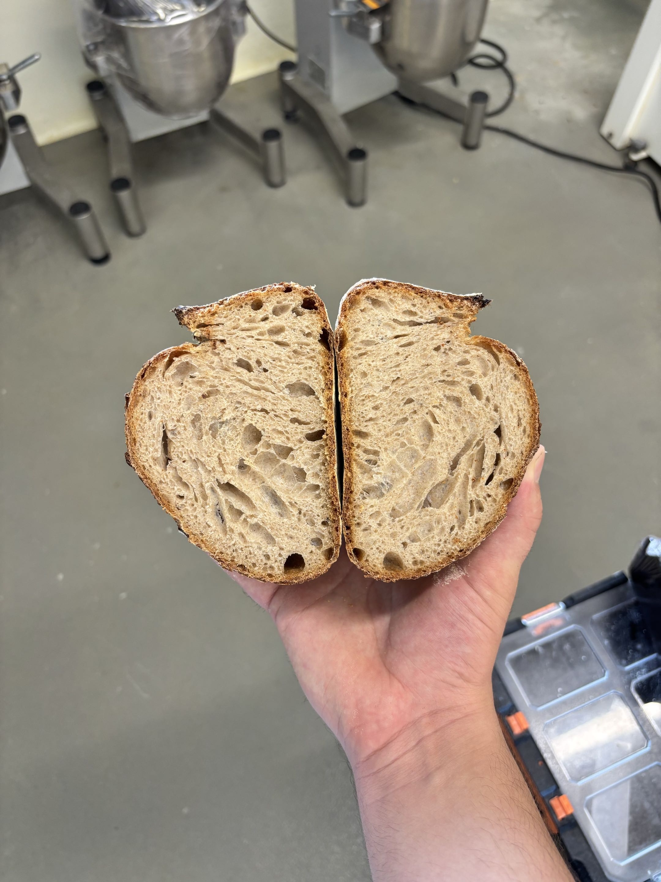 Pain de campagne bio levain