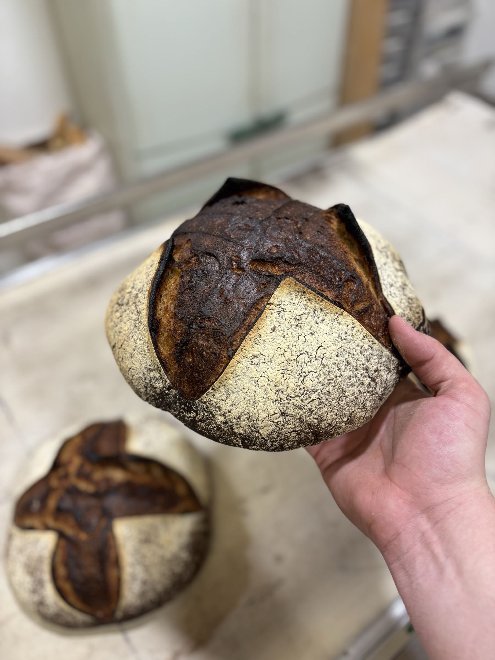 Pain de seigle 100% bio